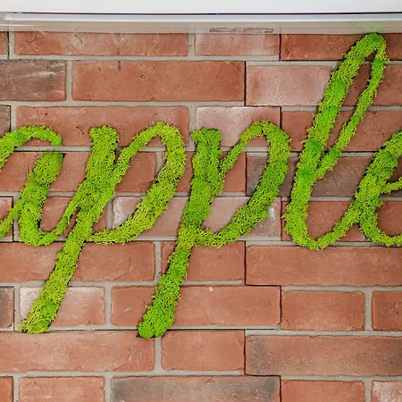 Apple * Split
